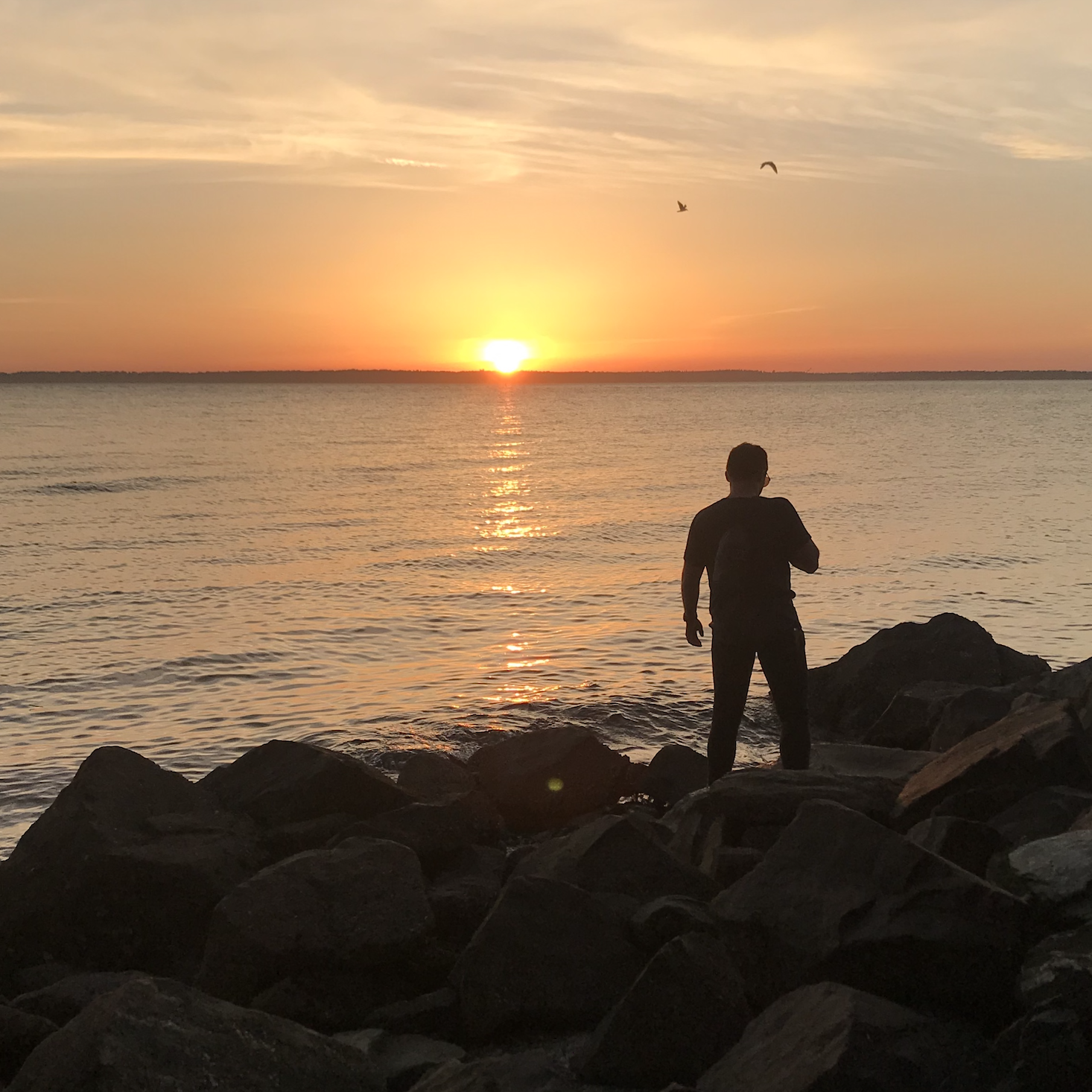 Soaking up warm weather and Bellingham sunsets.
May 2019