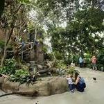 National Aviary