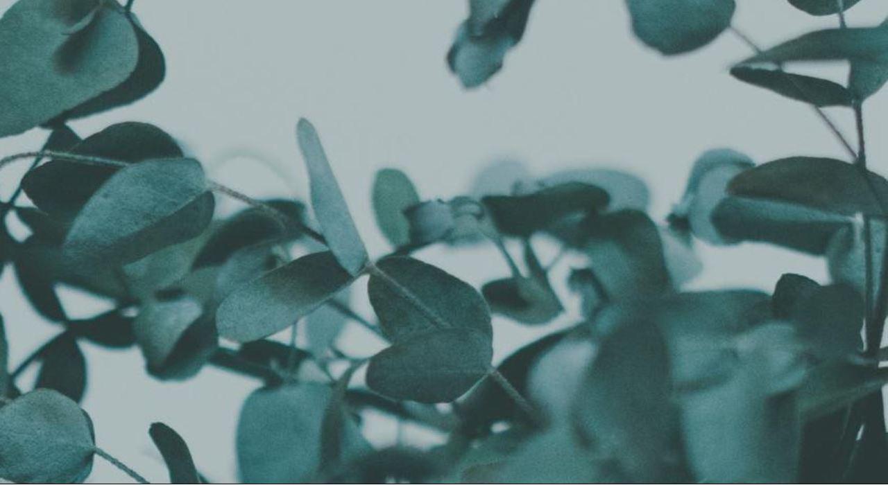 Footer image
