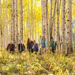 Berrypicker Hiking Trail
