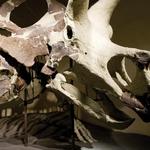Milwaukee Public Museum