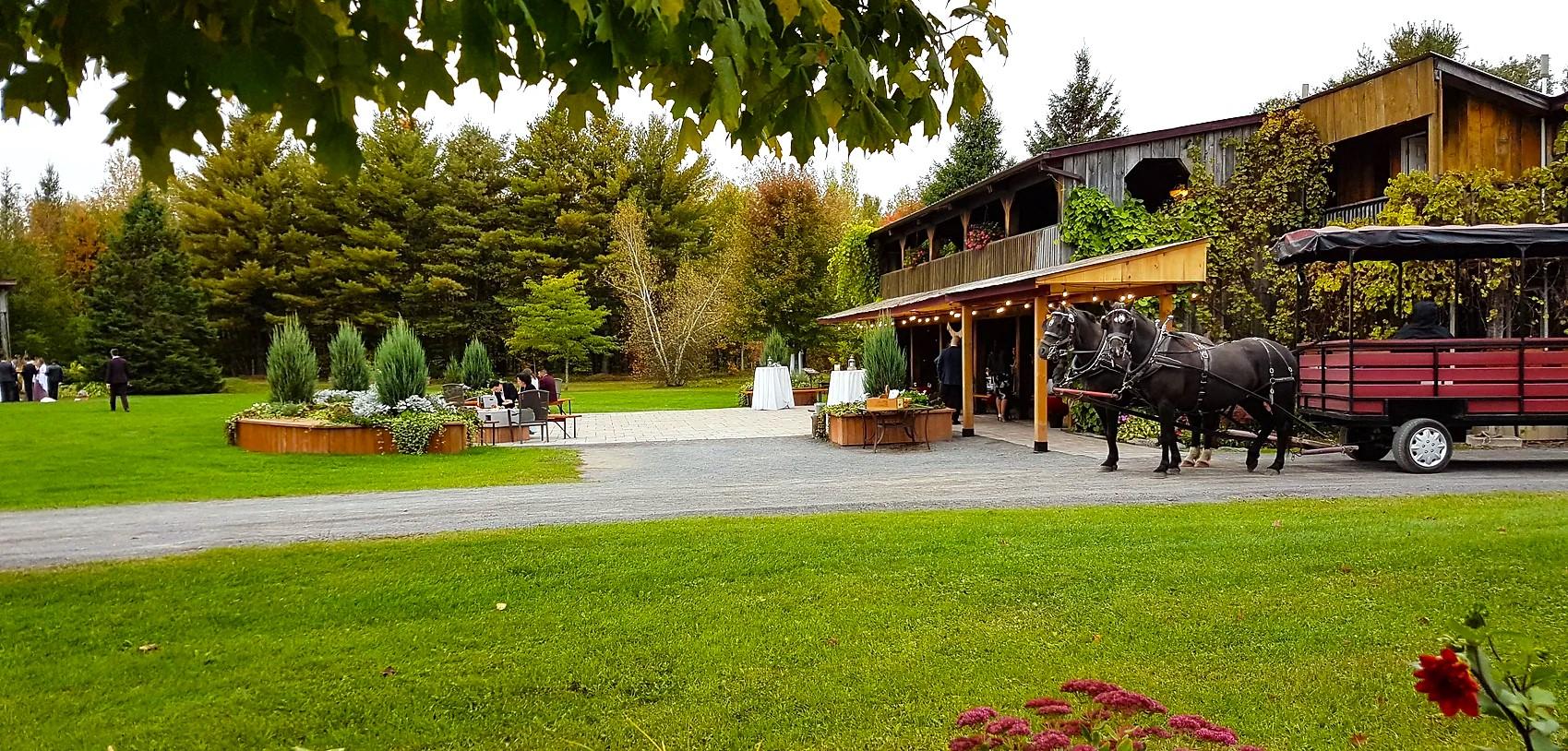The Wedding Website of Felicity Jeanveau and Matthew Cholock