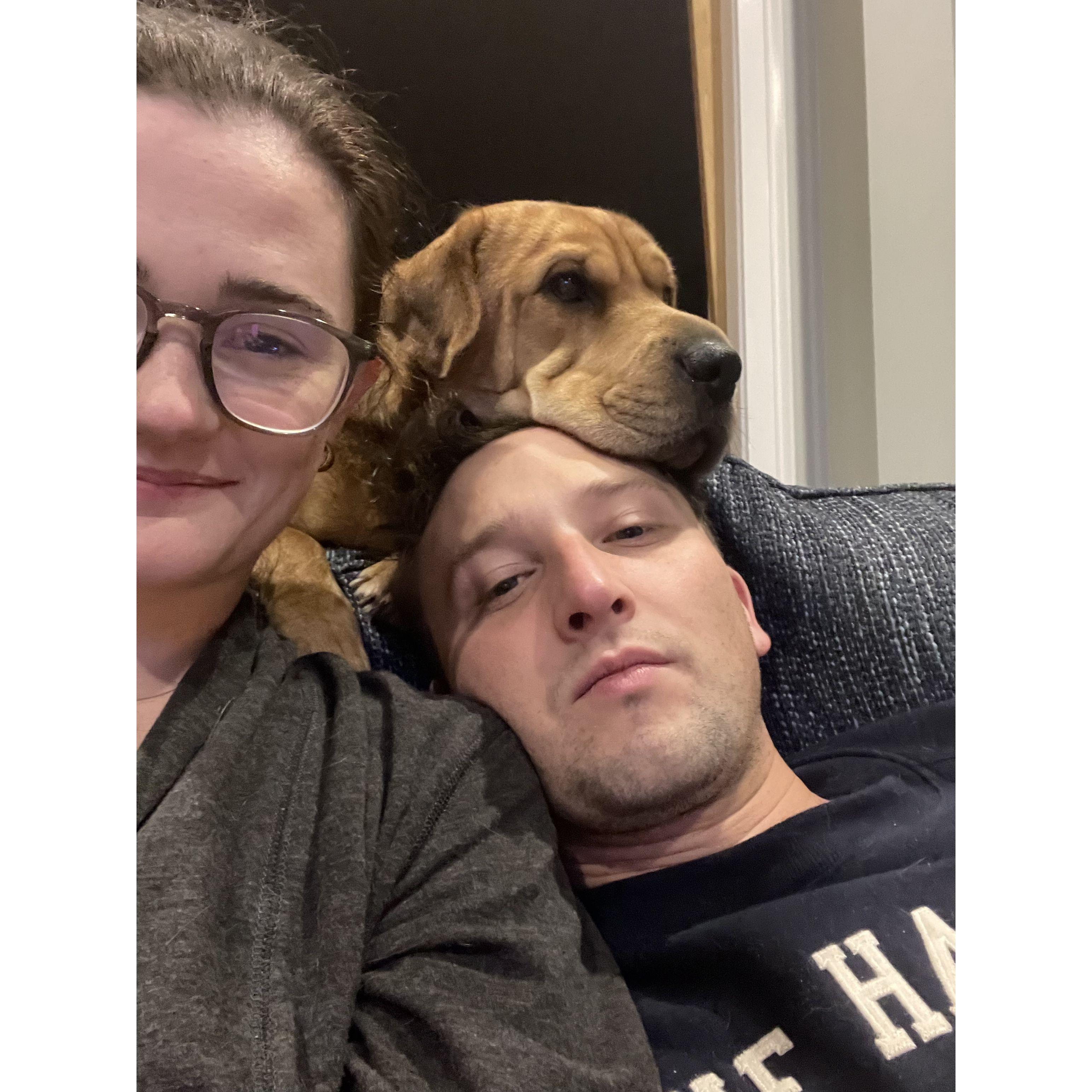 The best dog-dad