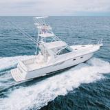 Deep Sea Fishing (Half Day)