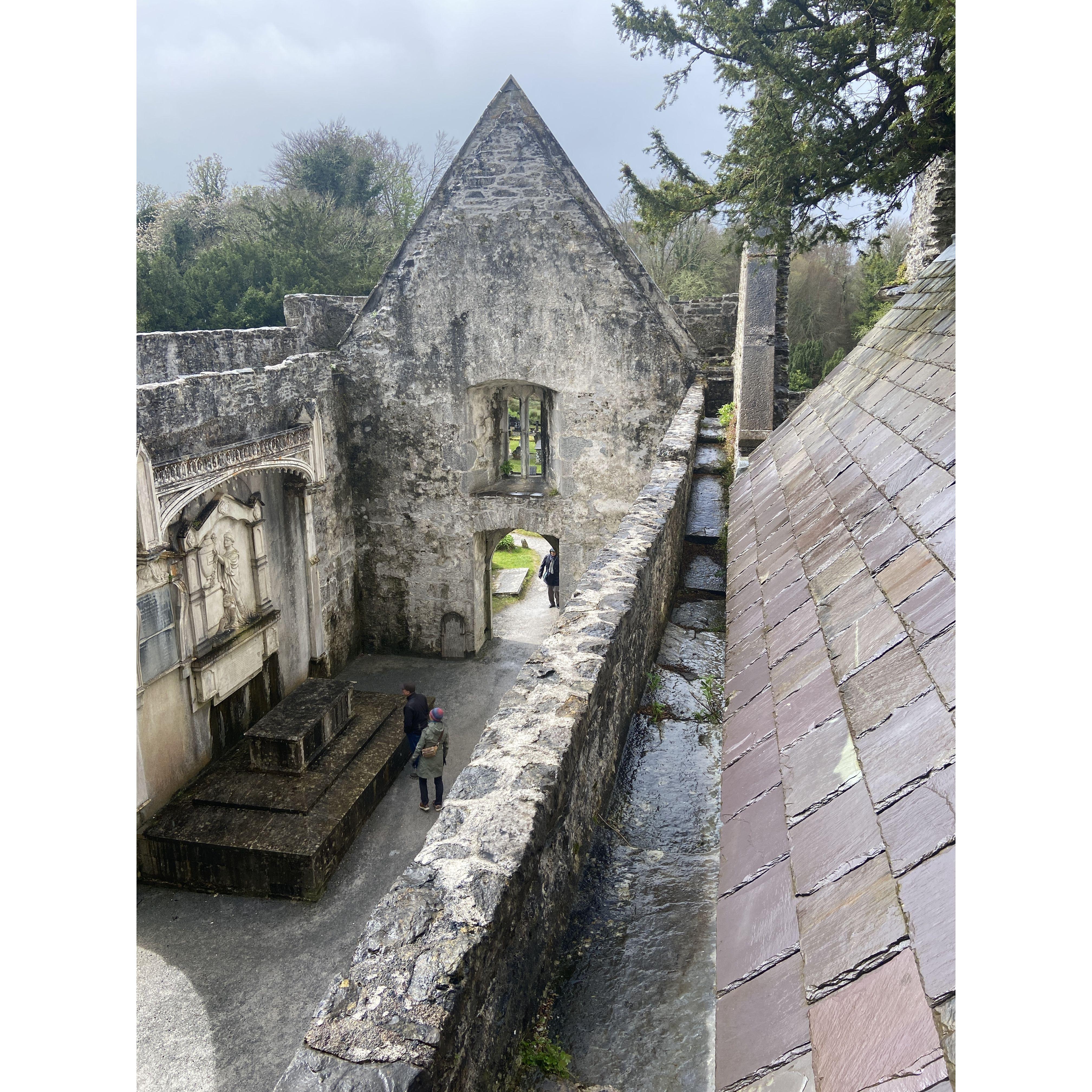 Muckross Abbey. Killarney 4/11/24