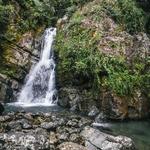 El Yunque National Forest