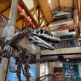 Montshire Museum of Science