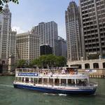 Shoreline Sightseeing