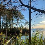 Black Walnut Point Fishing Area and Parking