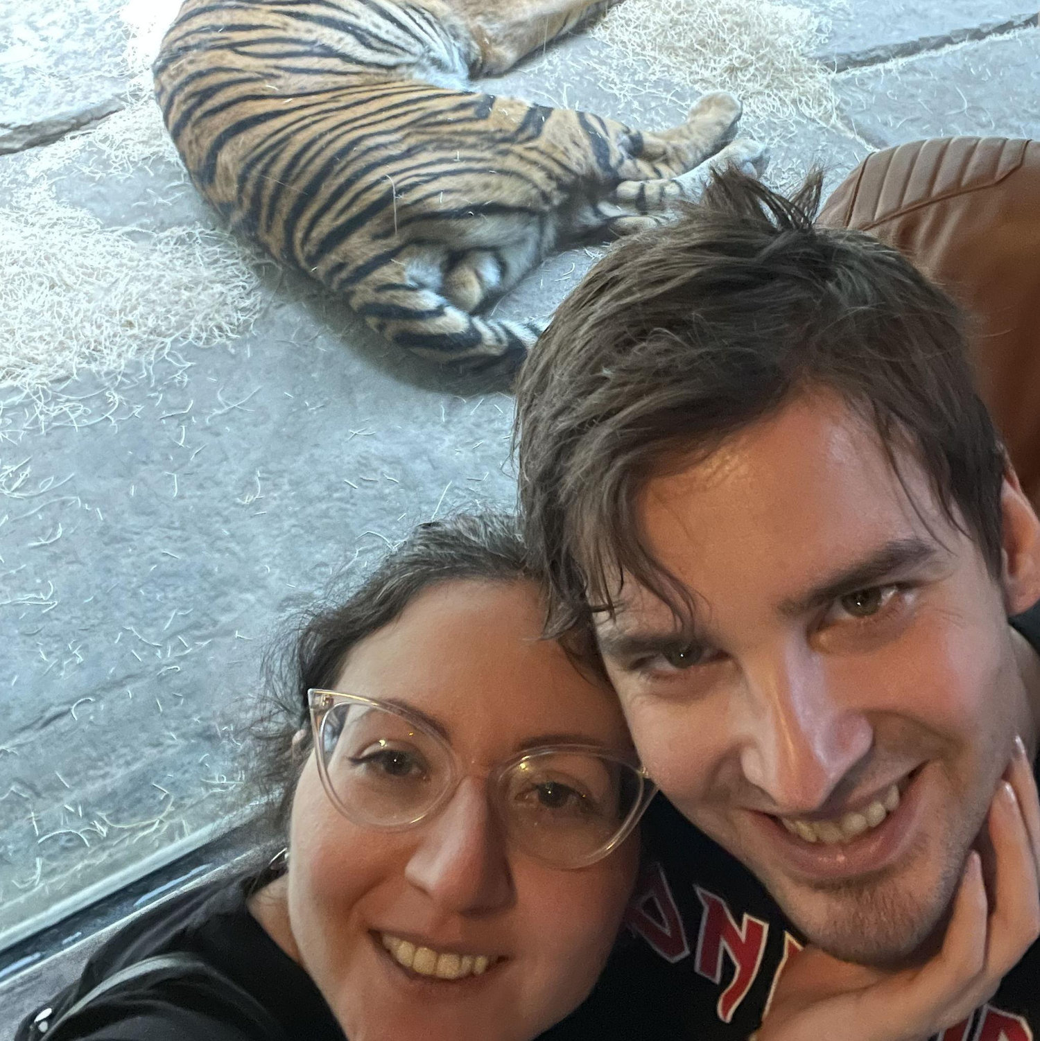 At the tiger exhibit in Safari Park, Escondido, CA December 22nd, 2024