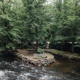 Stephens State Park