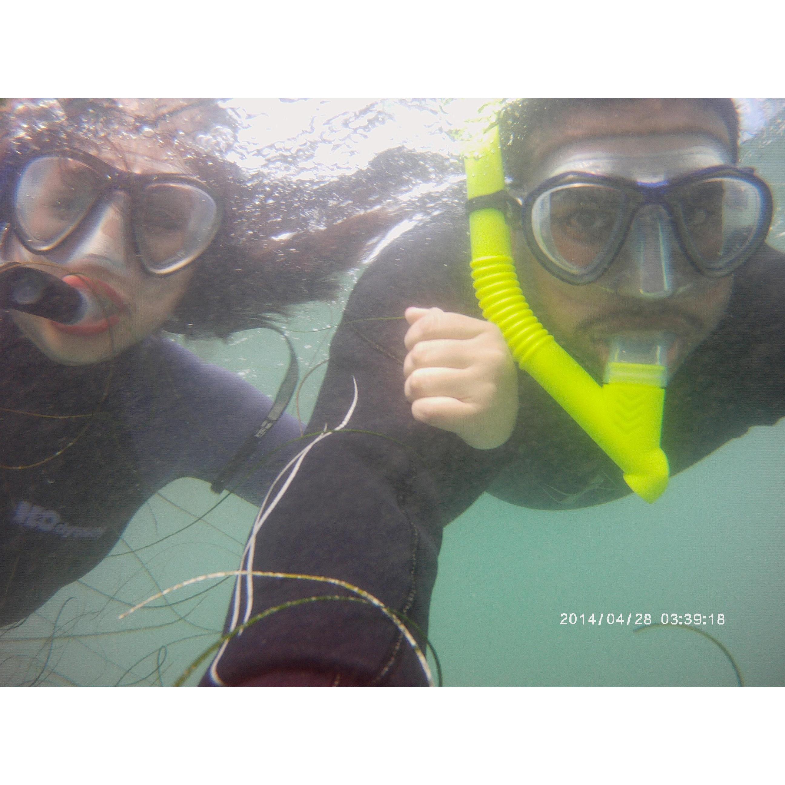 Swimming with Sharks