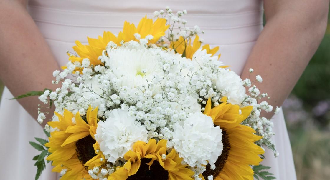 The Wedding Website of Megan Rush and Philip Young