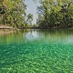Wekiwa Springs State Park