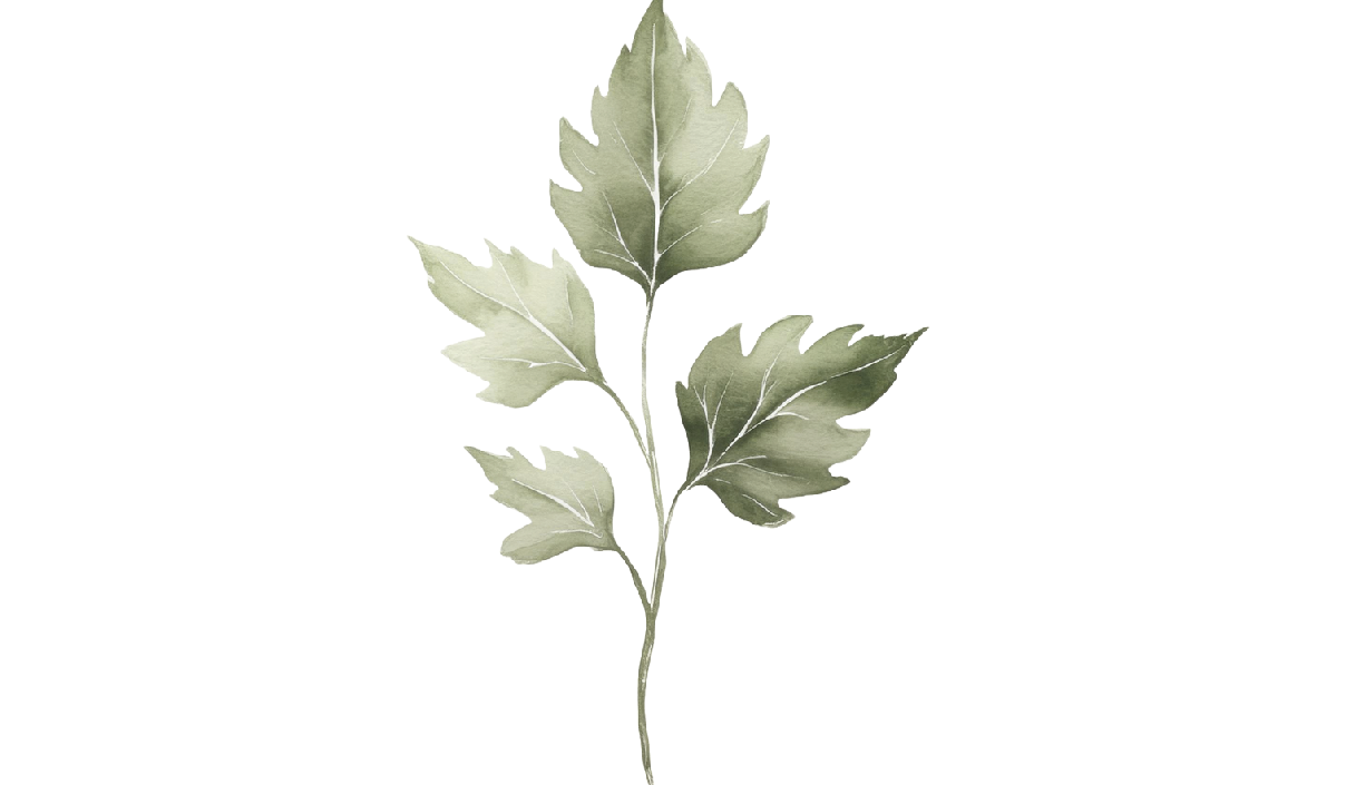 Footer image