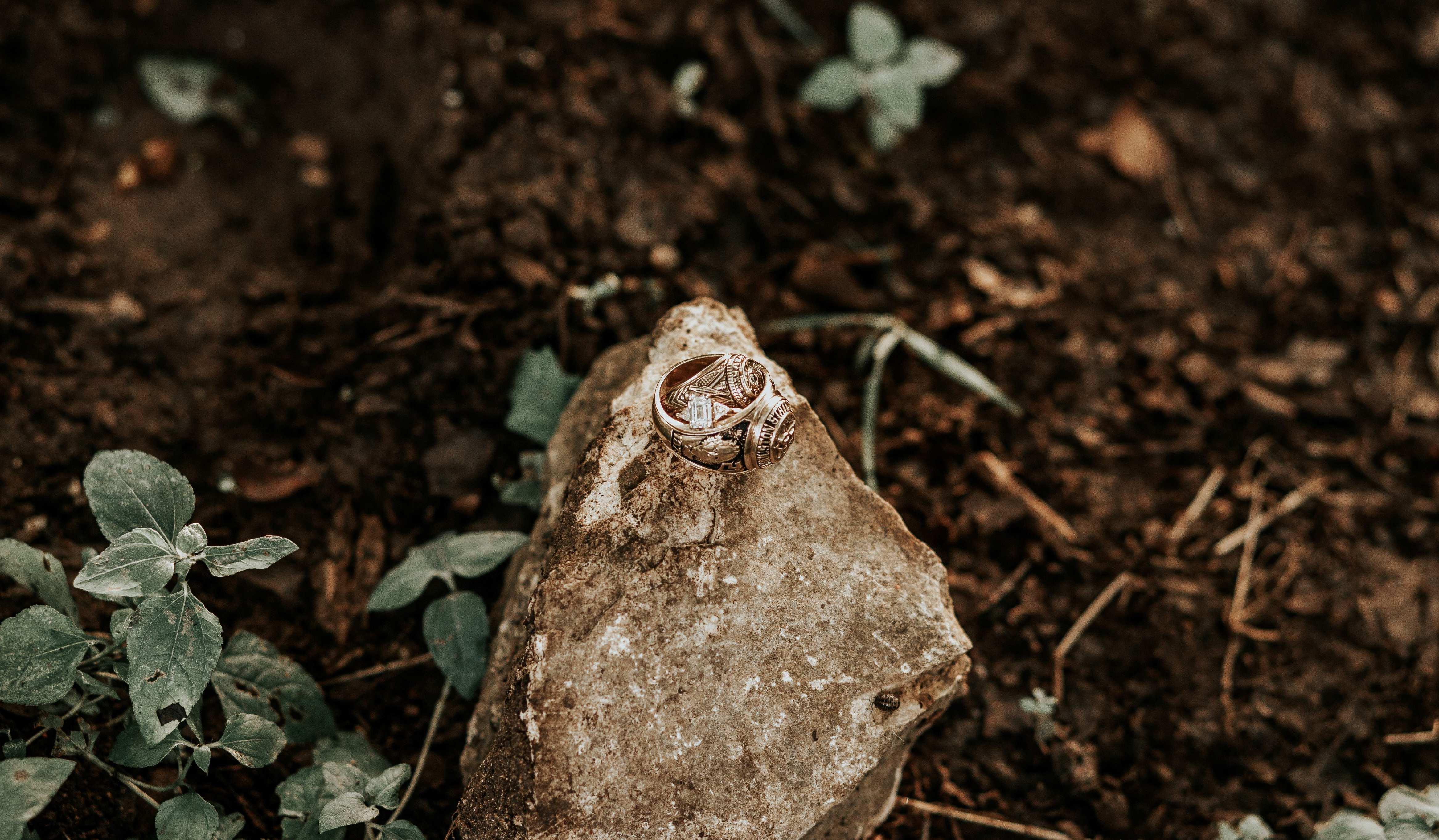Footer image