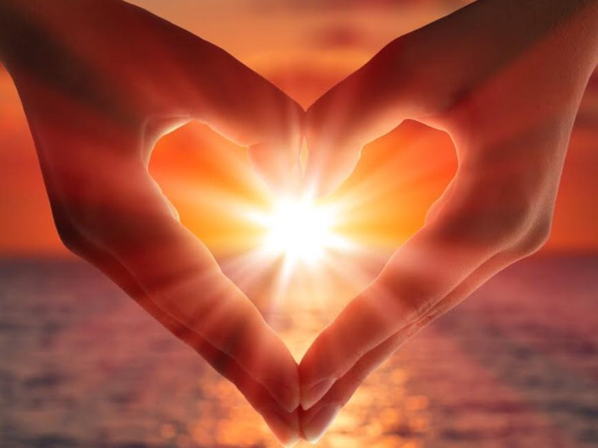 The Wedding Website of Grace Pancipanci and Steven Zollman