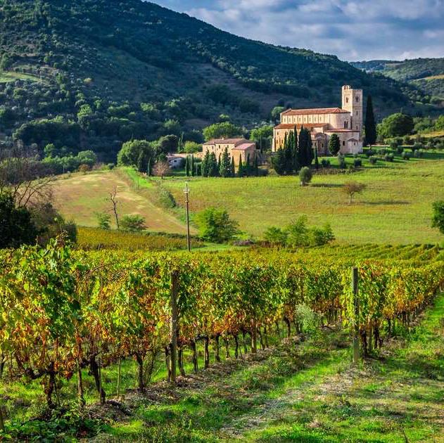 Wine Tasting in Tuscany 🍷