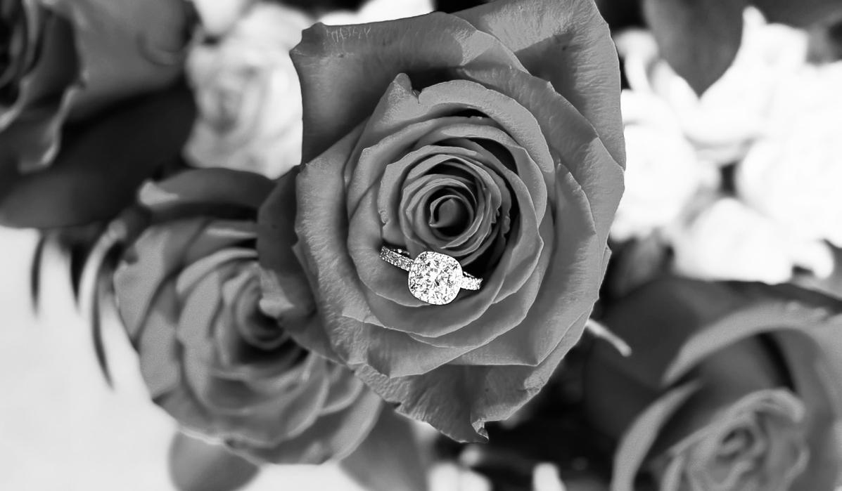 The Wedding Website of Alisa Gibson and Tyler Phelan