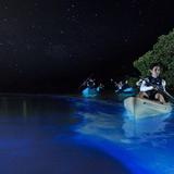 Bioluminescent bay in Vieques (Mosquito Bay)