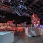 Houston Museum of Natural Science