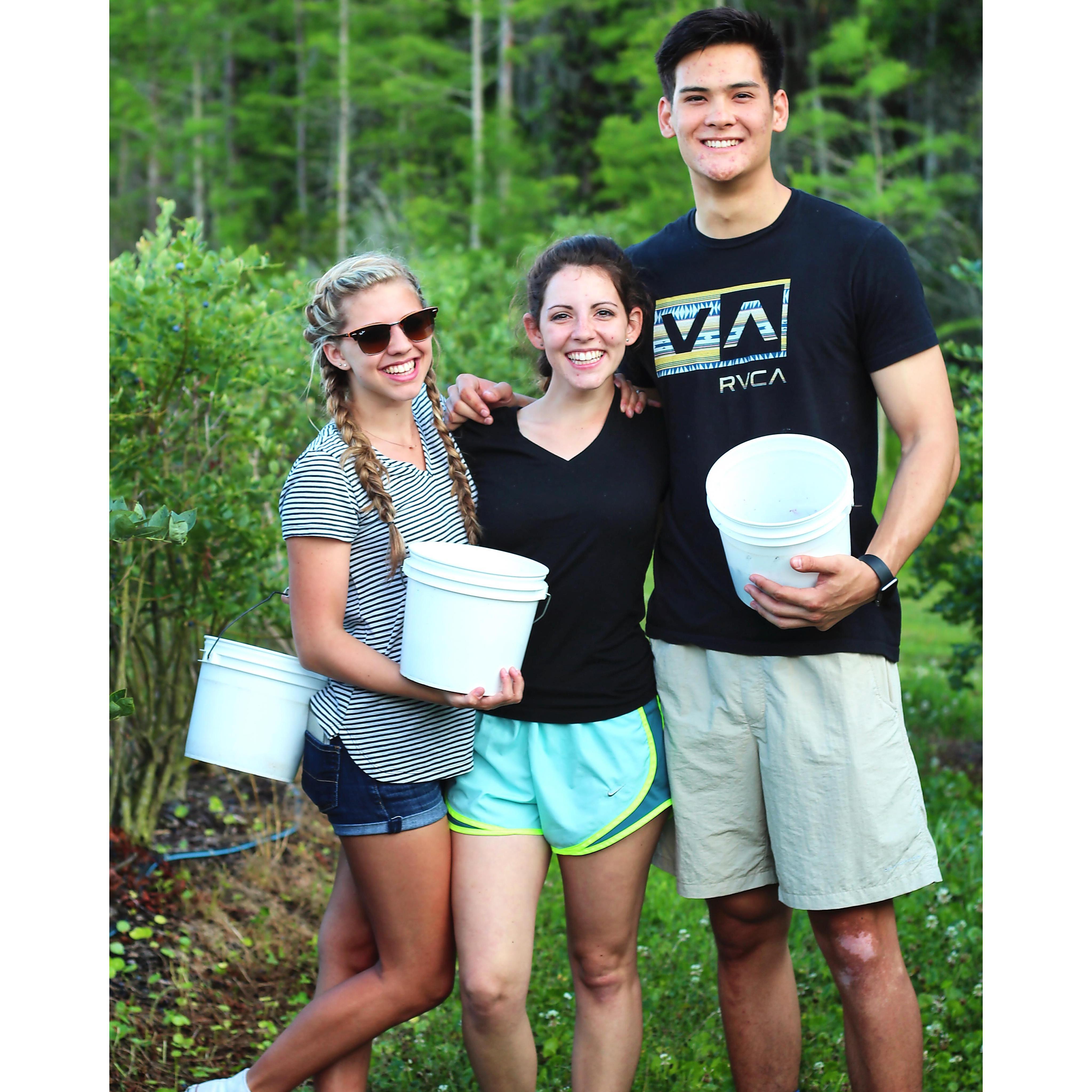 Family blueberry picking!
Summer, 2016