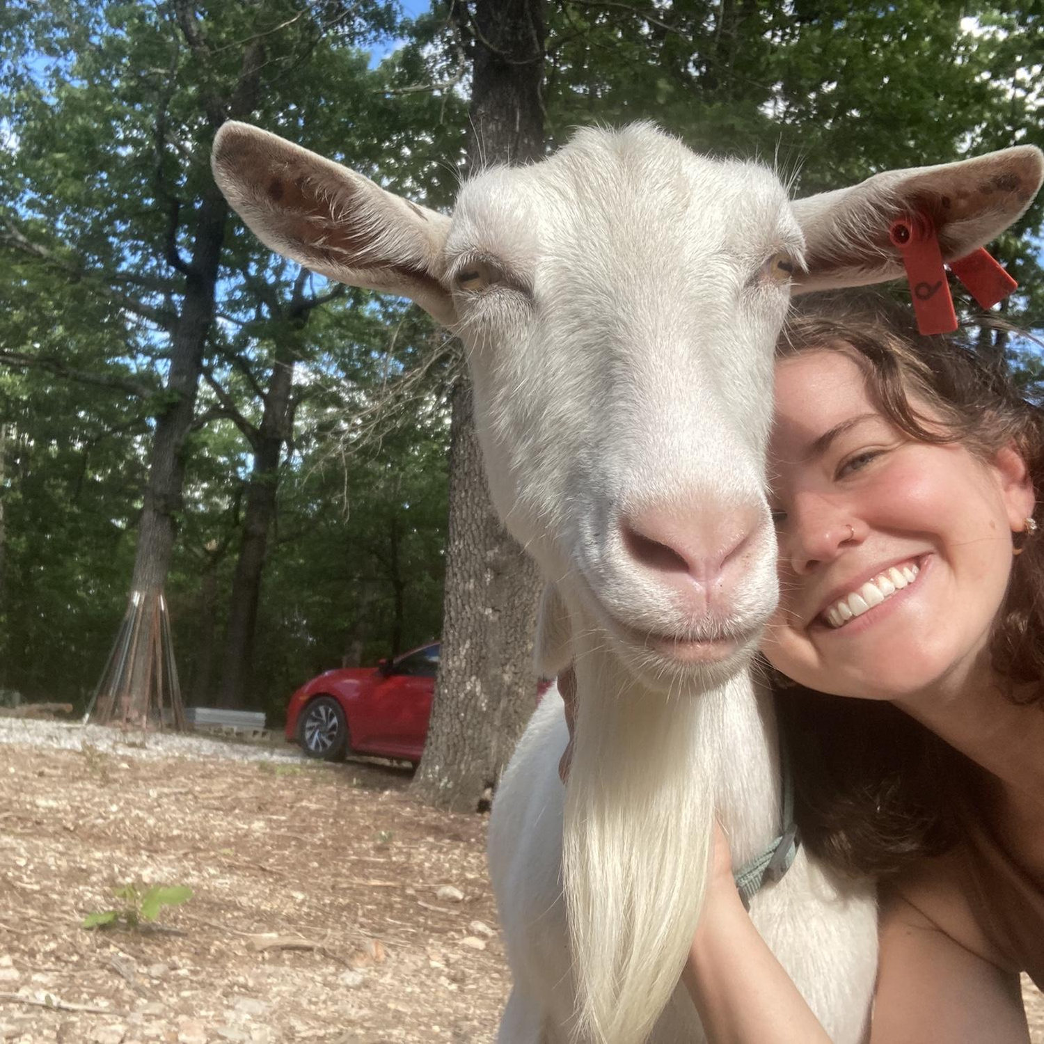 The first goat I purchased, my sweet Penny!