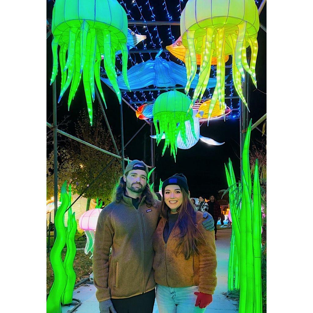 Christmas lights at the Loveland Aquarium in Utah in 2024