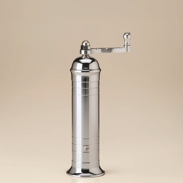 Chrome Salt Mill