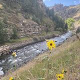 Scenic Drives