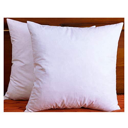 DOWNIGHT Two Pillow Inserts, 20 X 20 Inch, Down and Feather Throw Pillow Insert, The Fabric is Cotton, Decorative Throw Pillows Insert. These Products are Only Sold and Fulfilled by Amazon.