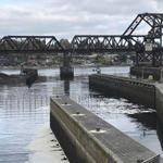 Ballard Locks Fish Ladder