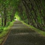 Dakota Rail Trail