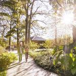 Murray State Arboretum