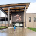 Tillamook Creamery