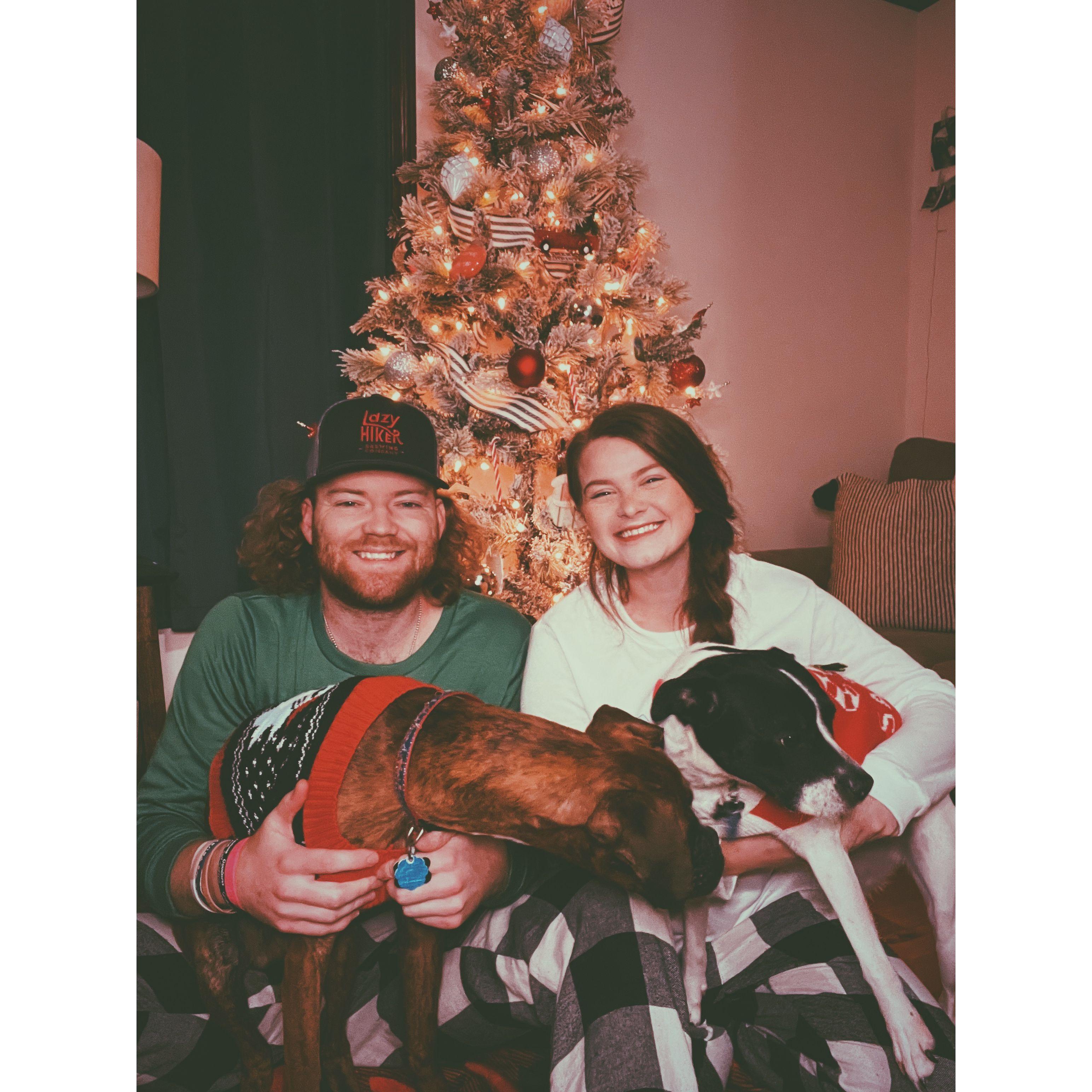 Christmas card with rex and raven