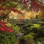 Portland Japanese Garden