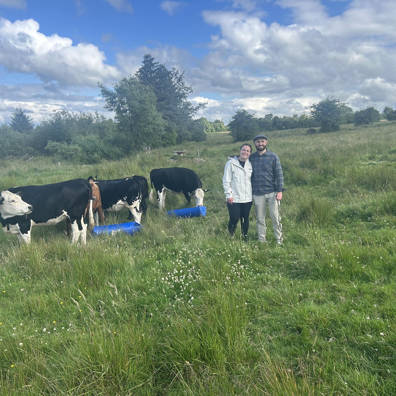 Feeding cows on the Hester family farm.