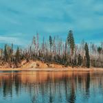 Stumpy Meadows Lake