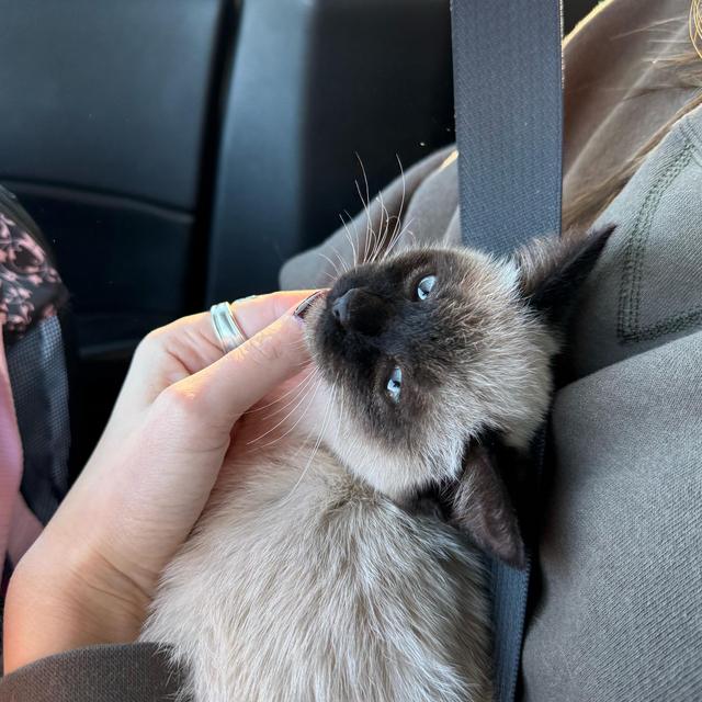 Our kitty (Neptune) fund!