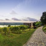Finger Lakes Wine Country