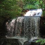 Tanyard Creek Nature Trail