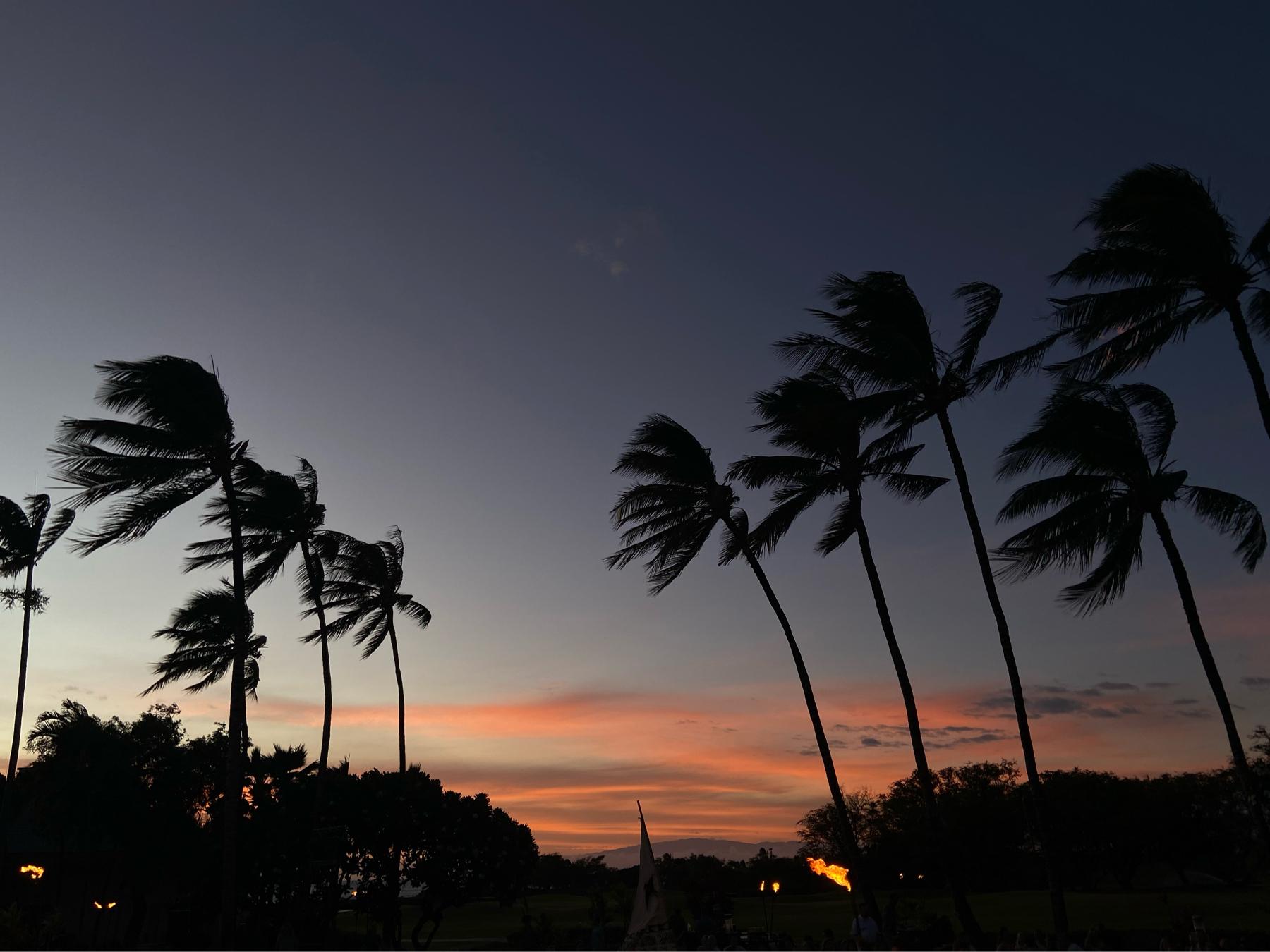 The Wedding Website of Oriana Fruean-Brown and Caleb Keparutis
