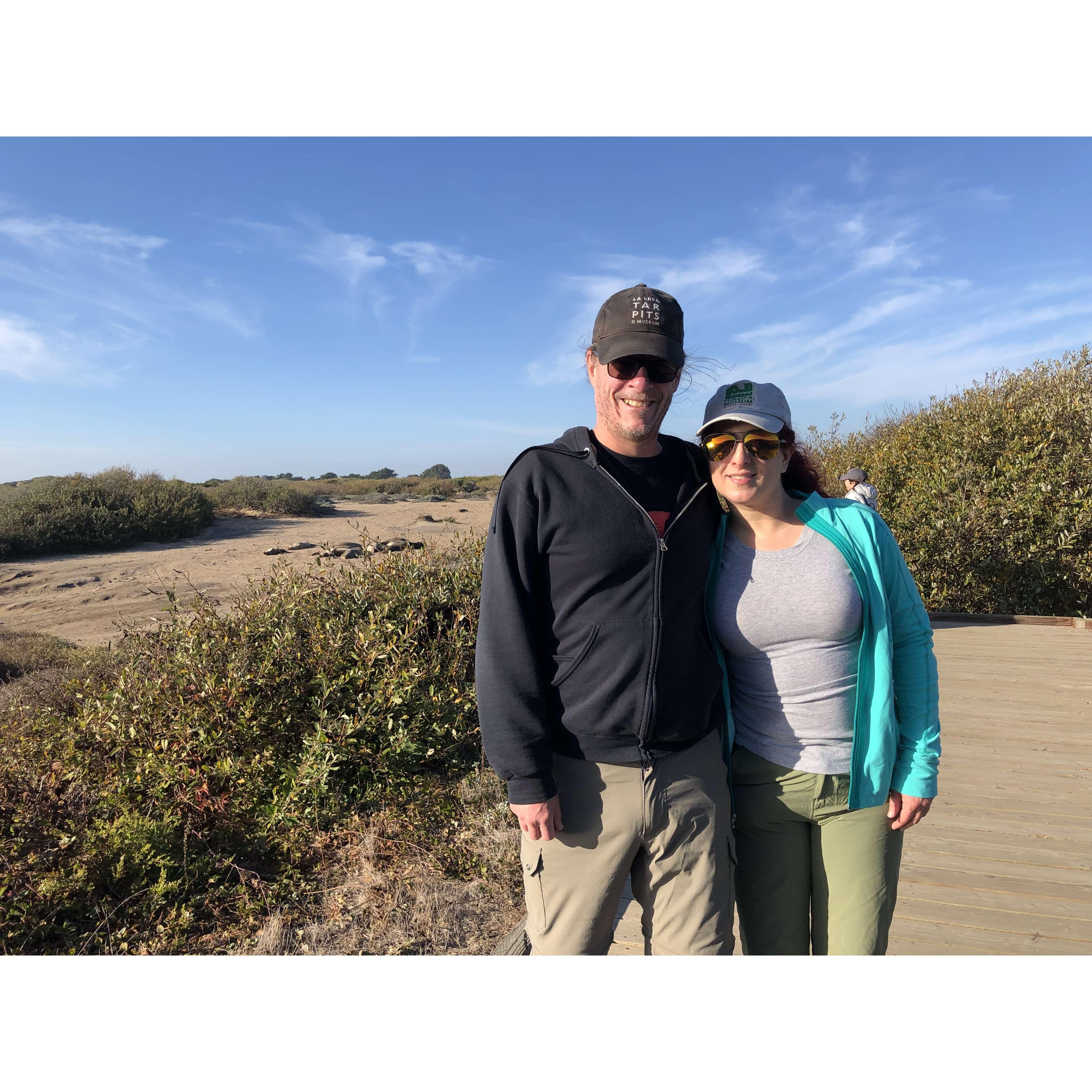 Looking for seals at Ano Nuevo