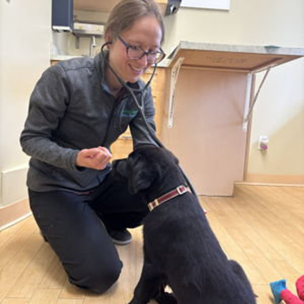 Emergency Vet Fund