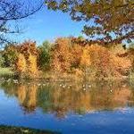 Forest Hill Park