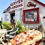 Lobster Landing