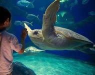 Virginia Aquarium & Marine Science Center
