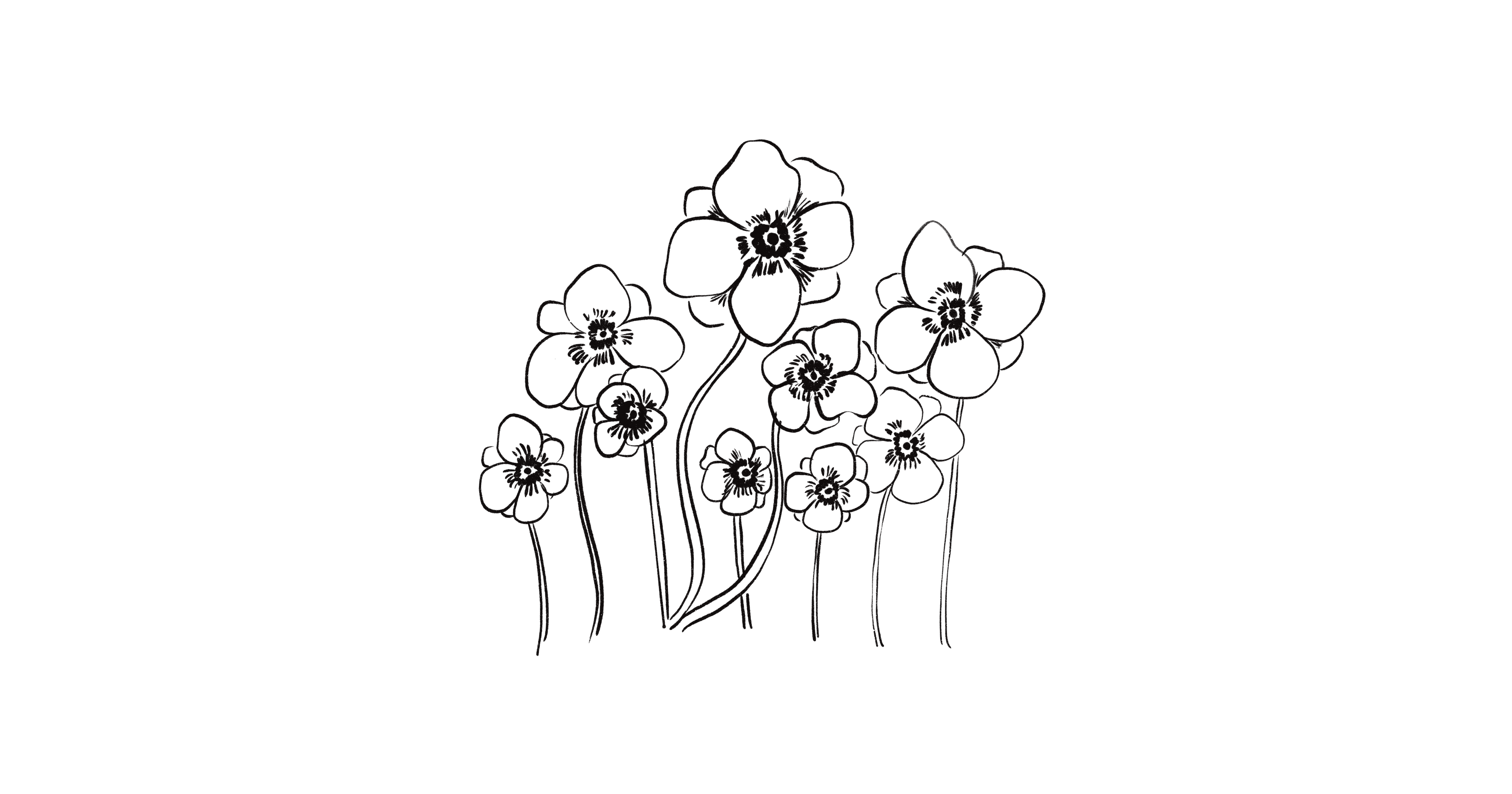 The Wedding Website of Lucia Sanchez Silva and Martin Fonseca Carrera