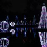 Cincinnati Zoo & Botanical Garden - Festival of Lights